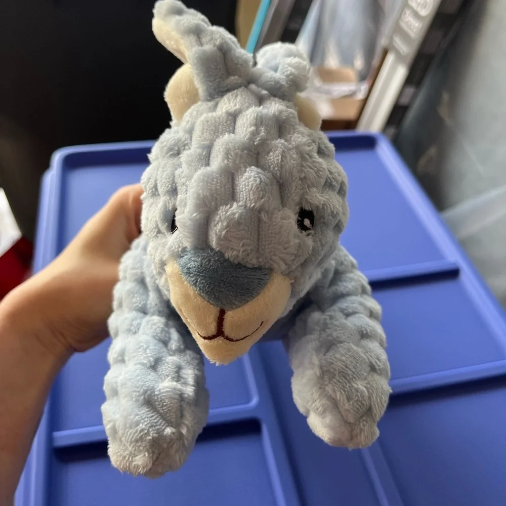 Plush Textured Bunny Toy (NEW)